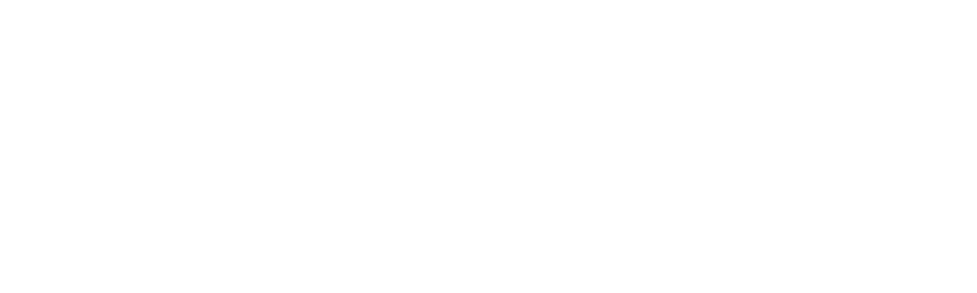 Radisson Blu Hotel logo